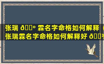 张瑞 🌺 霖名字命格如何解释（张瑞霖名字命格如何解释好 🌾 听）